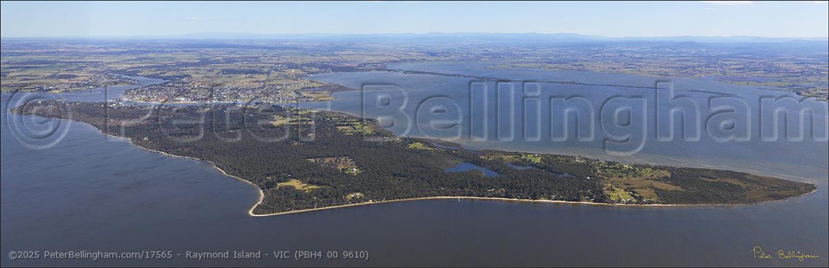 Peter Bellingham Photography Raymond Island - VIC (PBH4 00 9610)